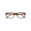 Picture of ZIPPO READING GLASSES BROWN +2.00